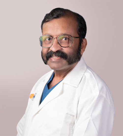 Dr Nagamani Nambiar V V