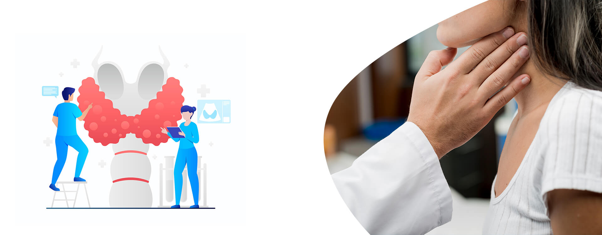 Thyroid Parathyroid Update 2024