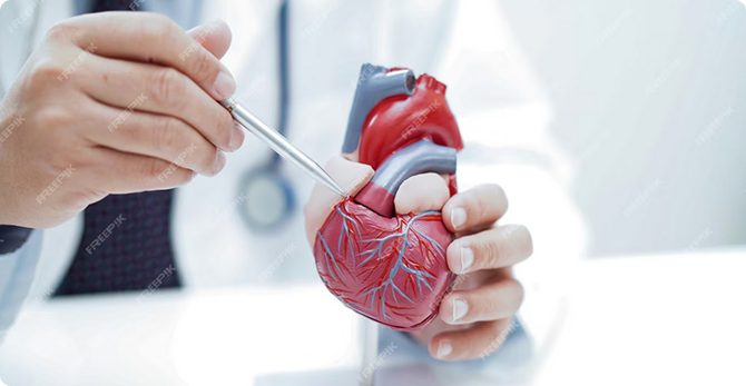 contact us bannner alt