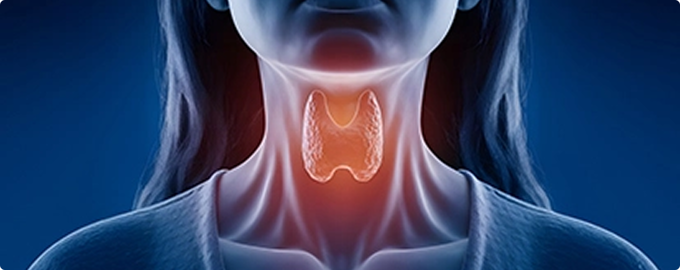 Thyroid Parathyroid Update 2025