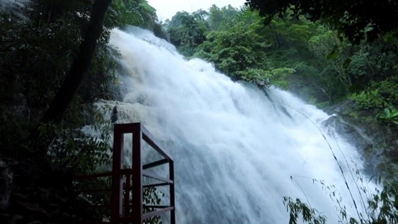 Test 